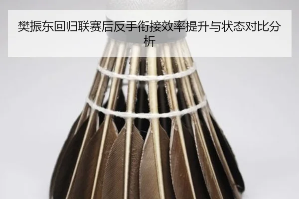 樊振东回归联赛后反手衔接效率提升与状态对比分析 - kaiyun